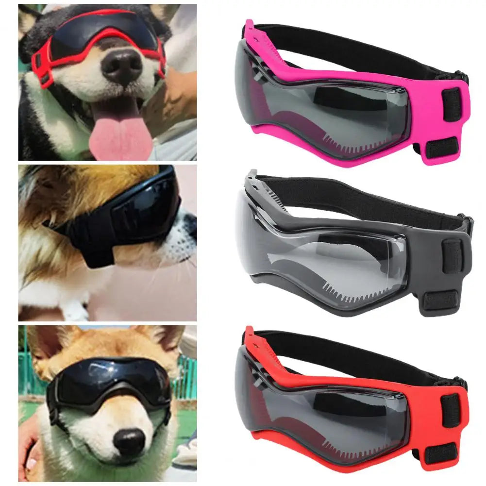 Premium Pet Glasses Eye-catching Dog Goggles Anti-fog Dog Sunglasses Eyewear Decor  UV Protection